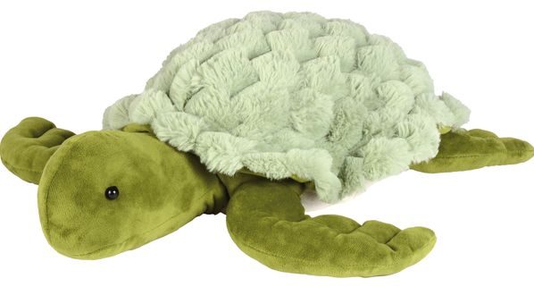 Gewichtstier Schildkröte